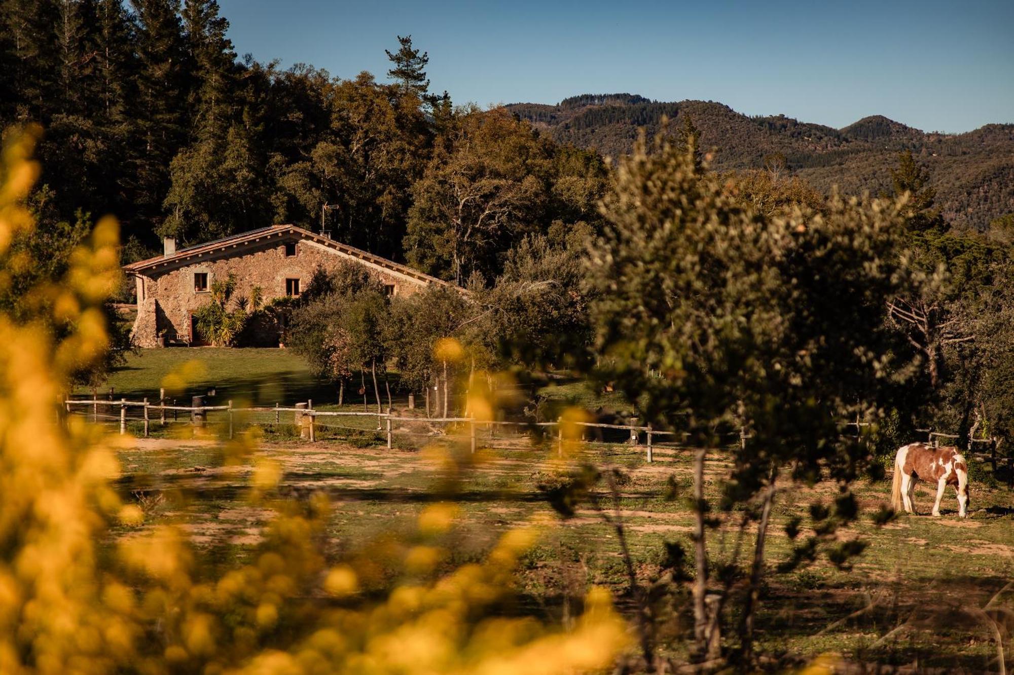 Turisme rural la Paradella ( Apartament turístic l'Alzina) Arbúcies Exterior foto